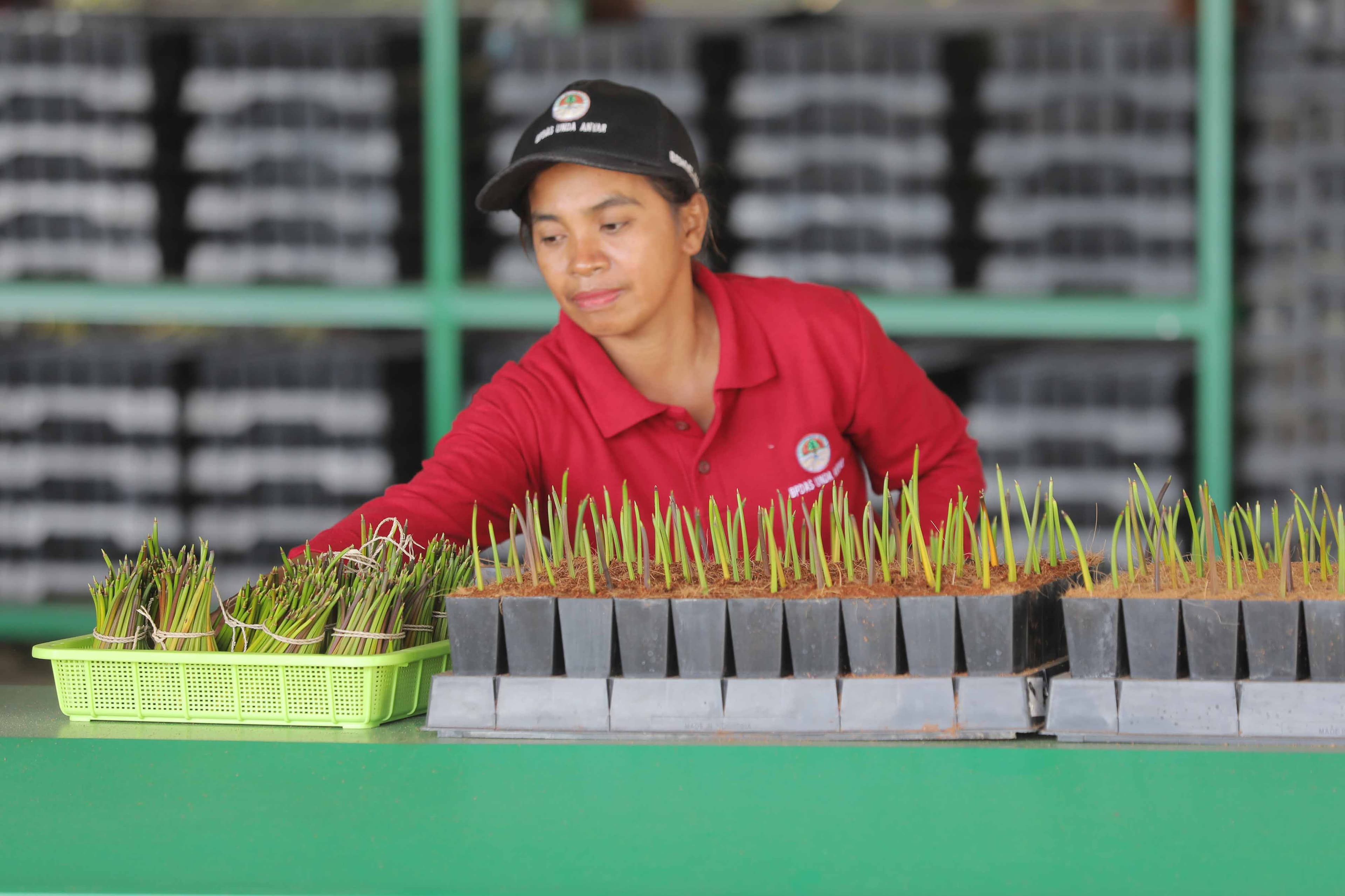 Bagaimana Peranan Lembaga Sosial dalam Pemanfaatan Sumber Daya Alam?