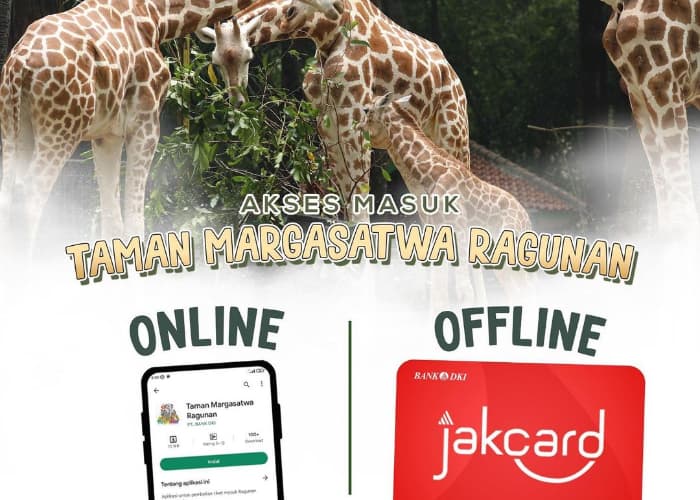 Harga Tiket dan Jam Buka Kebun Binatang Ragunan Selama Cuti Bersama Idul Adha 2024
