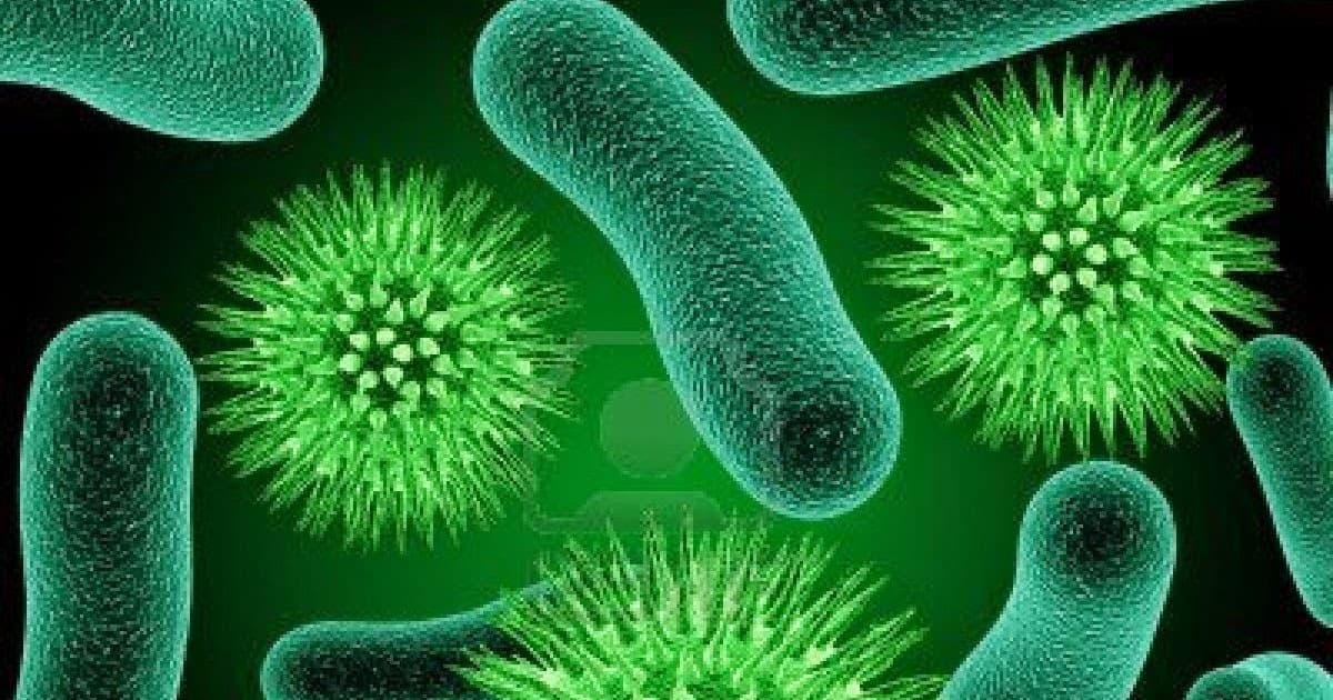 Kasus “Bakteri Mimpi Buruk” NDM di AS Naik 70% Sejak 2019, CDC Sebut Ancaman Serius