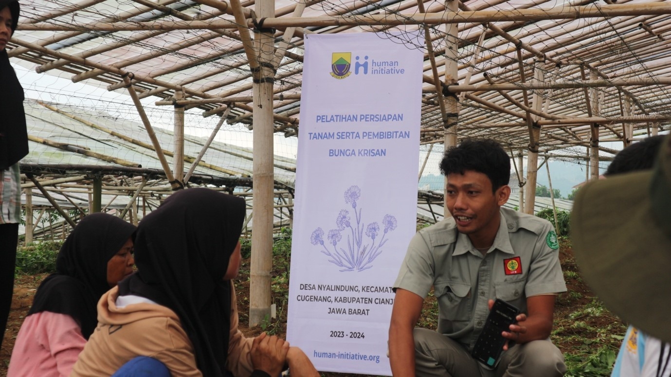 Cerita Petani Bunga Krisan Cianjur yang Bangkit dari Gempa Berkat Kolaborasi
