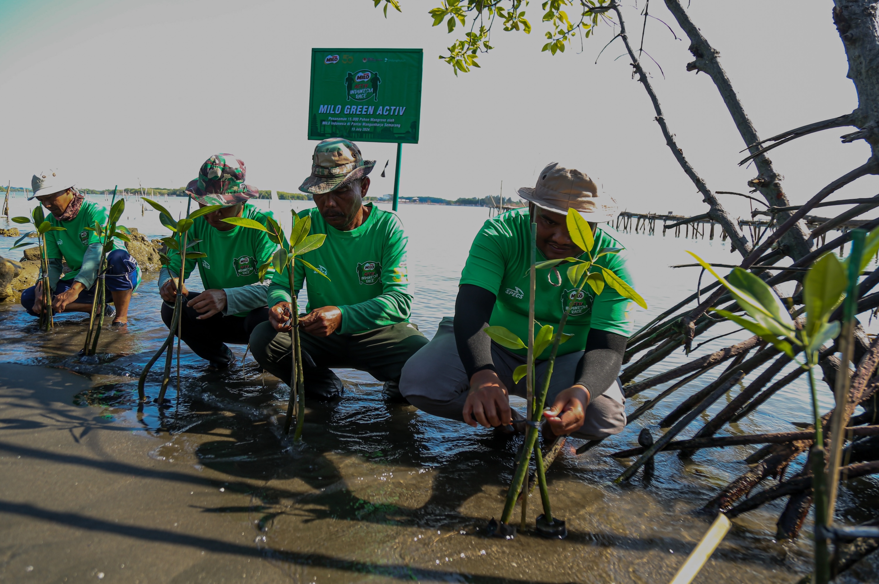 Mengapa Islam Memberikan Perhatian yang Besar terhadap Kelestarian Alam dan Lingkungan?