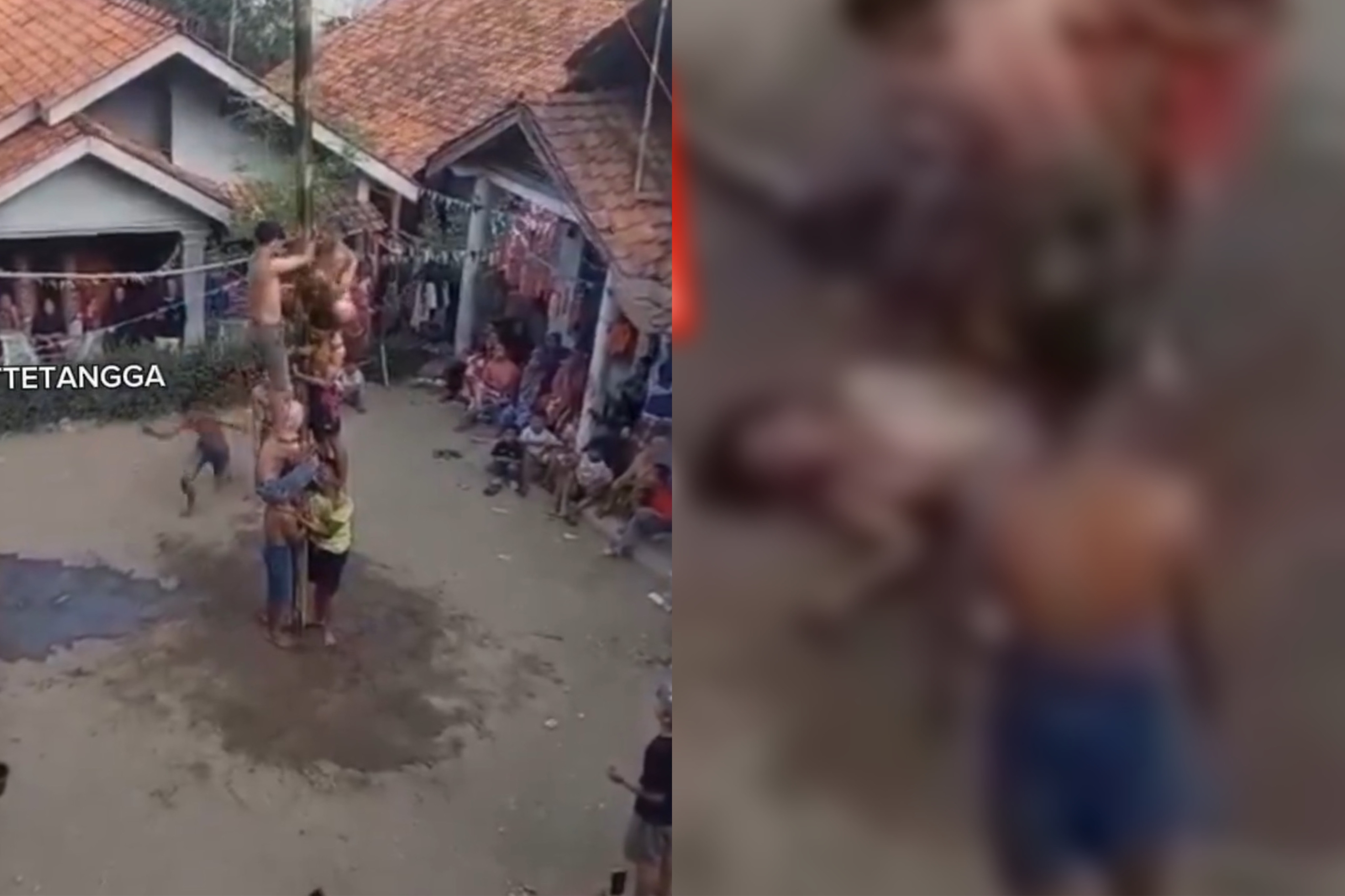 Geger! Lomba Panjat Pinang di Brebes Berakhir Tragis, Satu Orang Meninggal Dunia Akibat Tertimpa Timnya