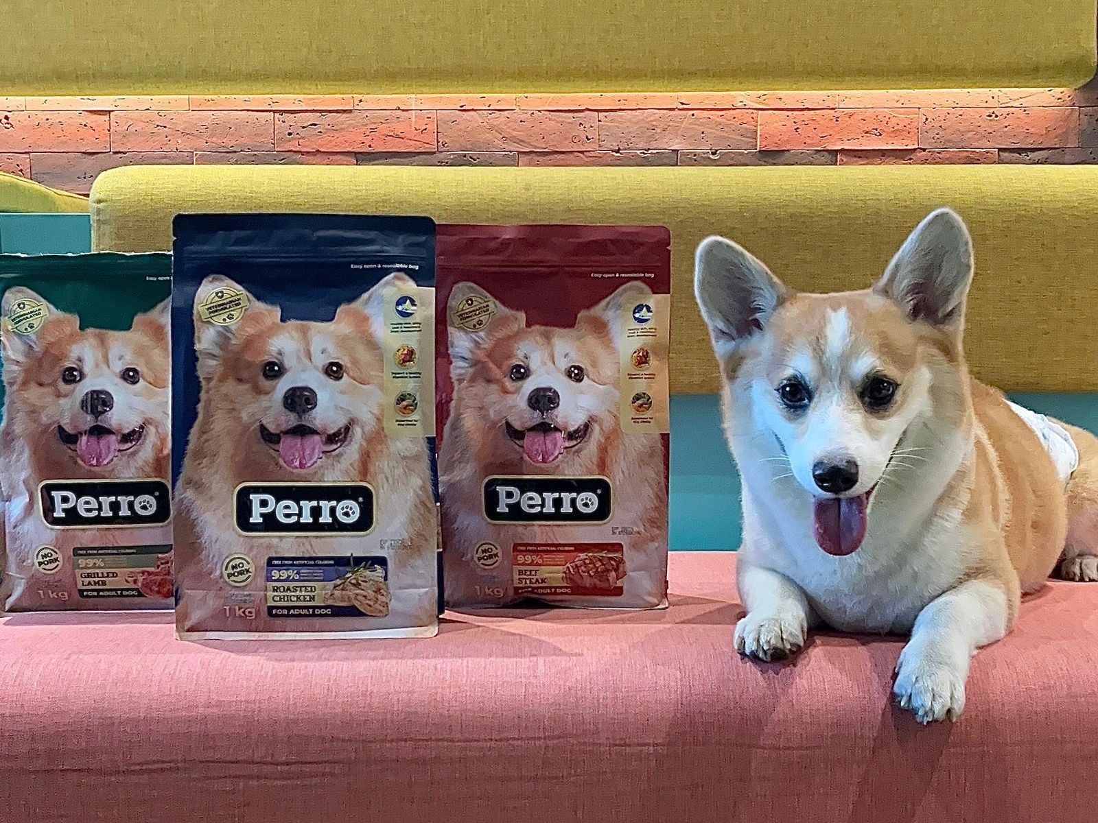 Kino Indonesia Luncurkan Perro, Makanan Anjing Premium untuk Nutrisi Optimal