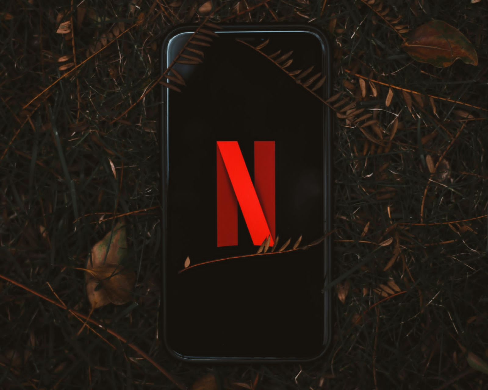 Netflix Hapus Banyak Judul Interaktif dari Platform
