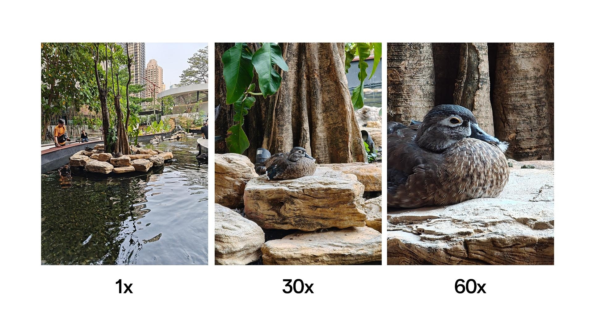 OPPO Pamer Keunggulan Kamera Find X8, Begini Hasil Fotonya