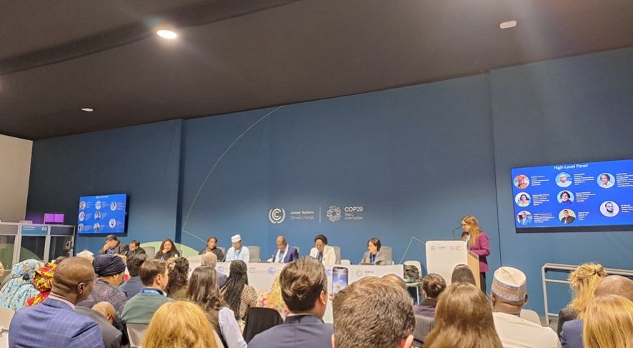 RI Perlu Sumber Pendanaan Iklim yang Lebih Adil dalam COP29