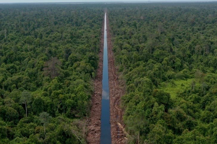 Apakah Menggunakan Uang Kayu Telah Menyelesaikan Persoalan di Hutan Kelayau? Jelaskan Jawaban Kalian!