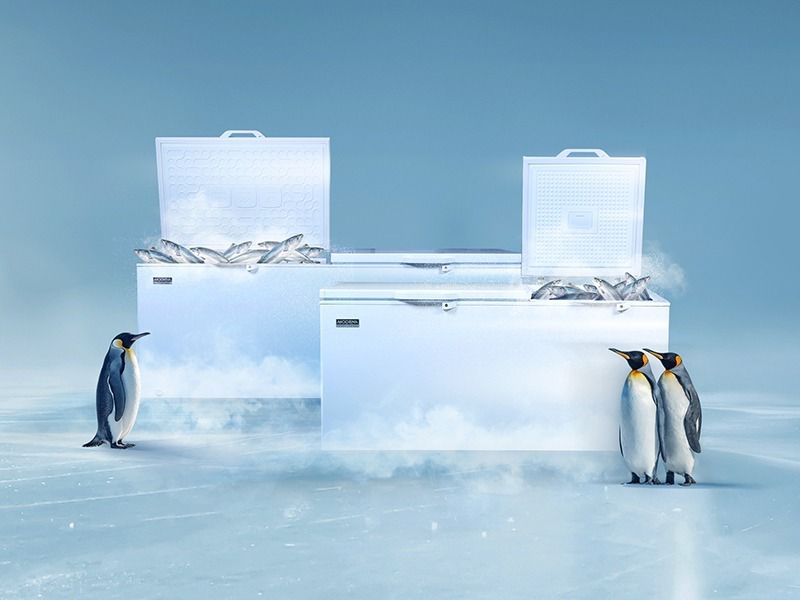 MODENA Luncurkan Chest Freezer Baru untuk Dukung Kebutuhan Bisnis
