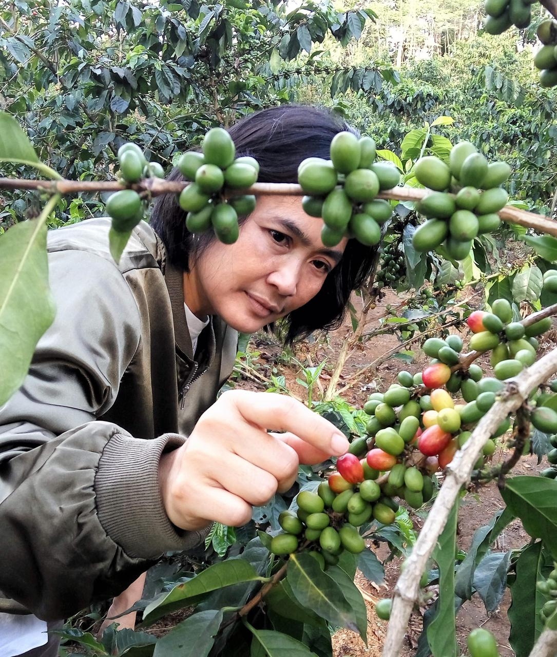 BNI Jejak Kopi Khatulistiwa Dukung Kopi Garut Swasembada Pangan dan Go Global