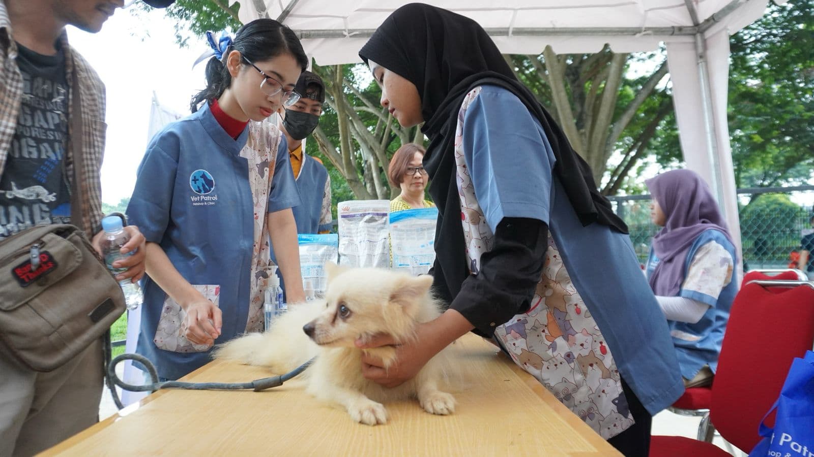 Lippo Cikarang Cosmopolitan Resmikan Taman Anabul, Tempat Bermain bagi Hewan Peliharaan