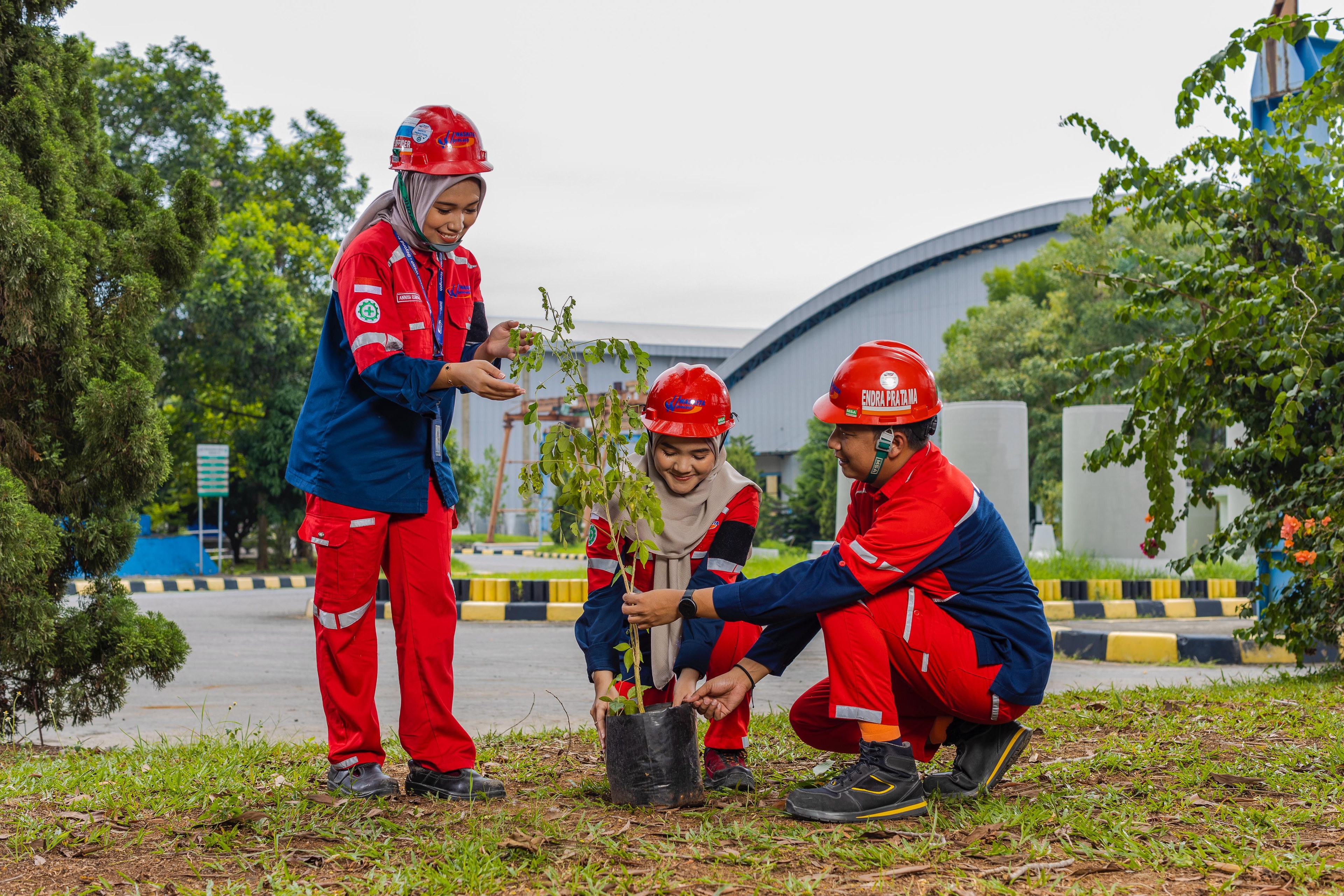 Tanam 433 Pohon Trembesi, WSBP Dorong Pembangunan Berkelanjutan