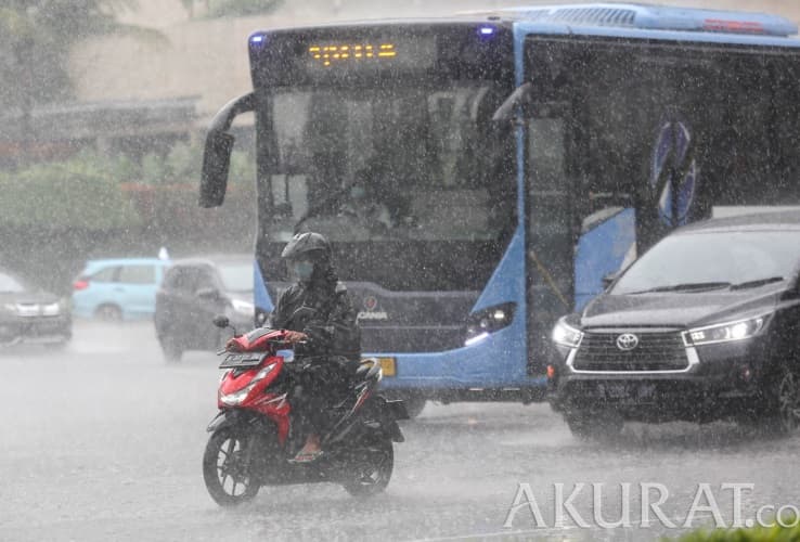 Angin Kencang Terjang Jakarta, BPBD: Hindari Berteduh di Bawah Pohon