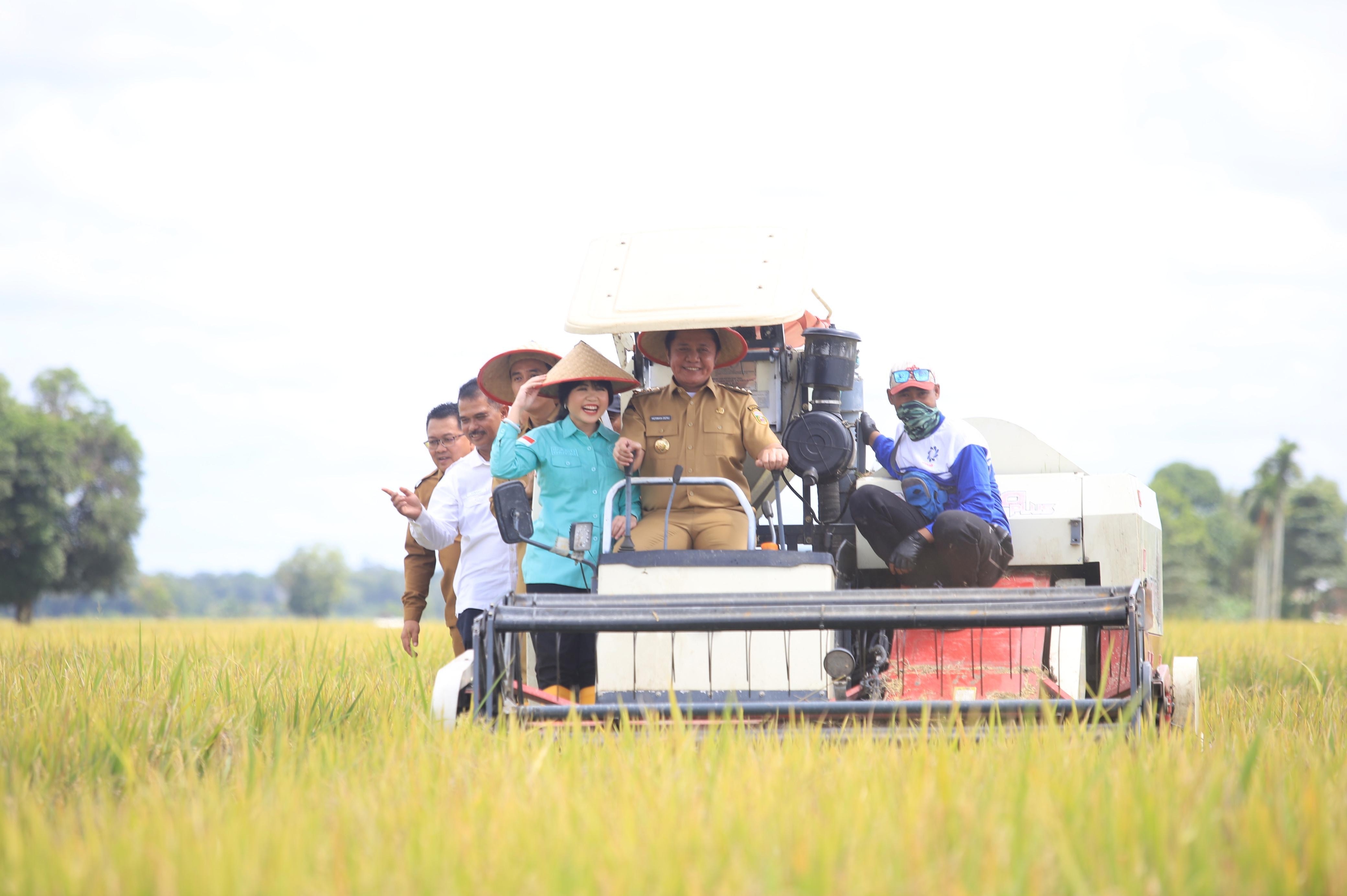 Usai Lebaran, Herman Deru Panen Raya Serentak Bersama Presiden Prabowo di OKI