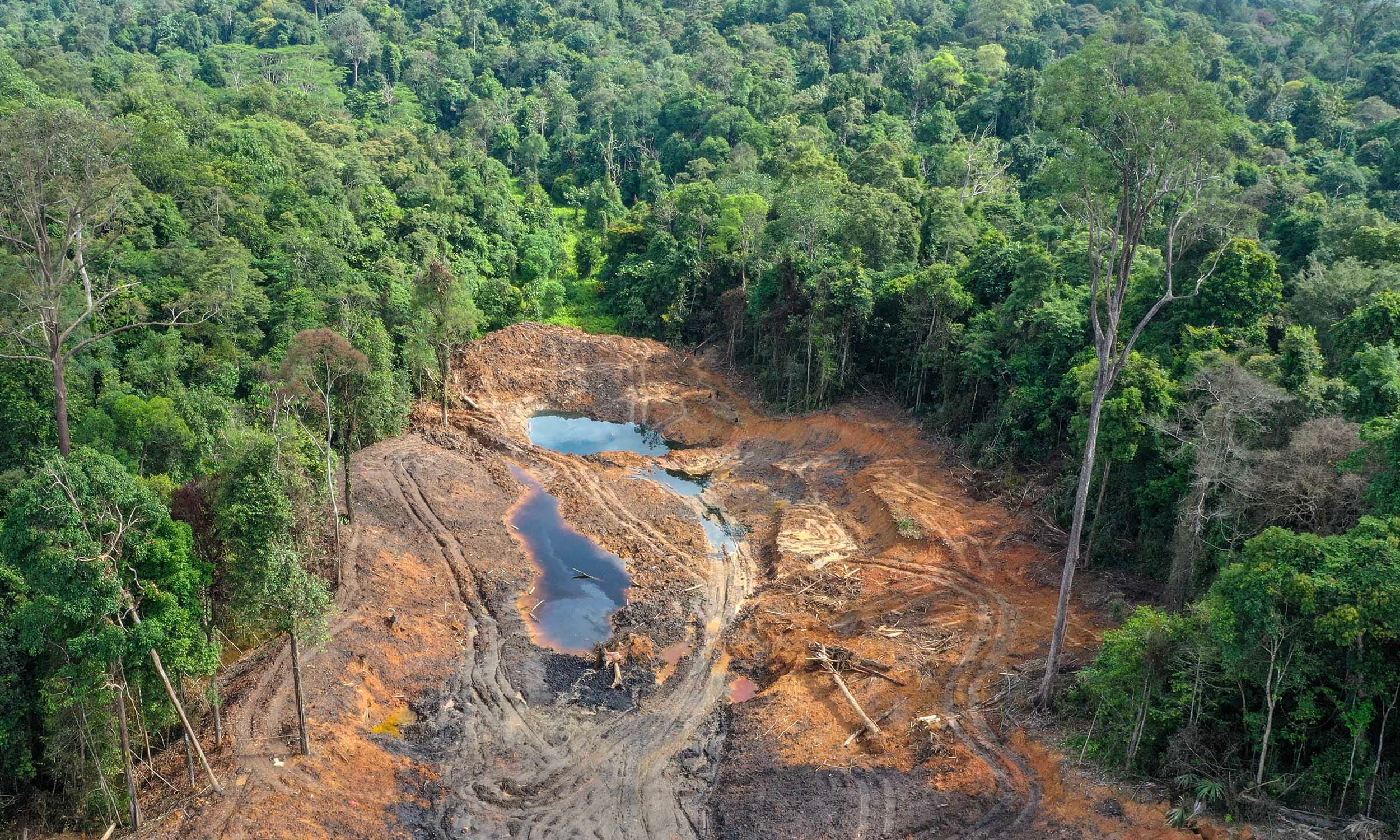 Pushep Ungkap Ironi Tambang Ilegal yang Rugikan Negara Hingga Ratusan Triliun