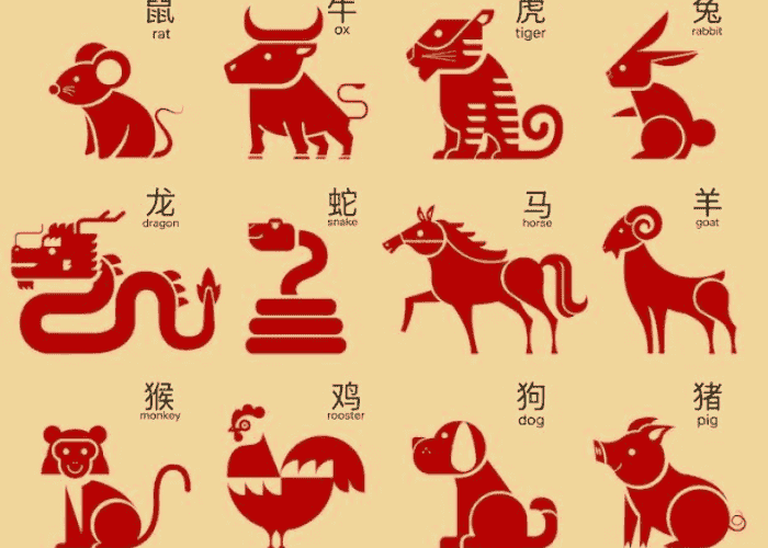 Ramalan Shio 10 Agustus 2025: Waspada untuk Harimau, Keberuntungan Menghampiri Babi