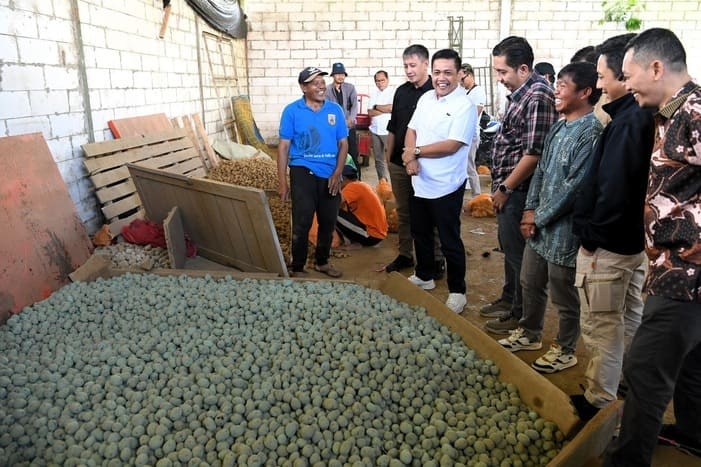 Bagaimana Pengaruh Adanya Koperasi bagi Kelangsungan Kehidupan Masyarakat? Inilah Kunci Jawaban IPS Kelas 8 Halaman 198