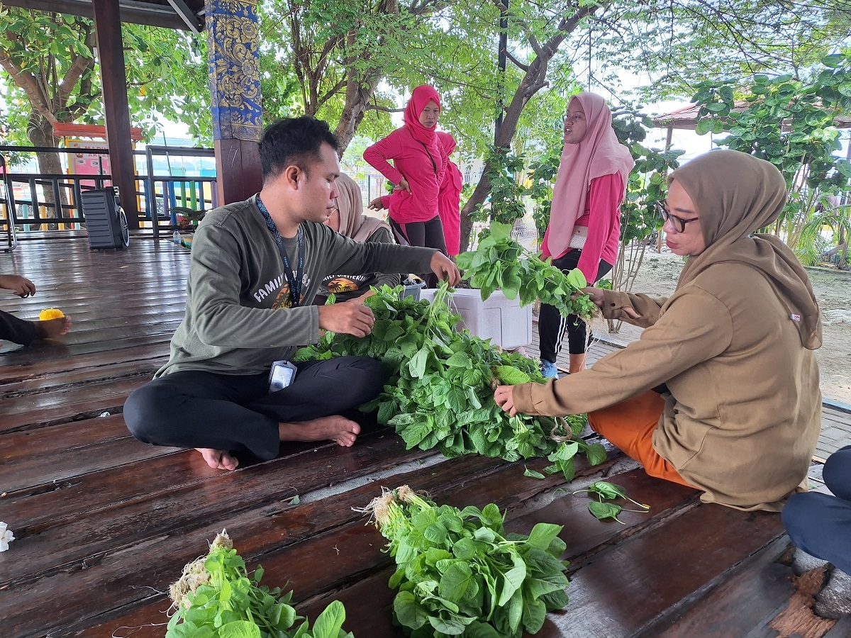 Pulau Kelapa Dua Kembangkan Pertanian Hidroponik, Dorong Ketahanan Pangan di Lahan Terbatas
