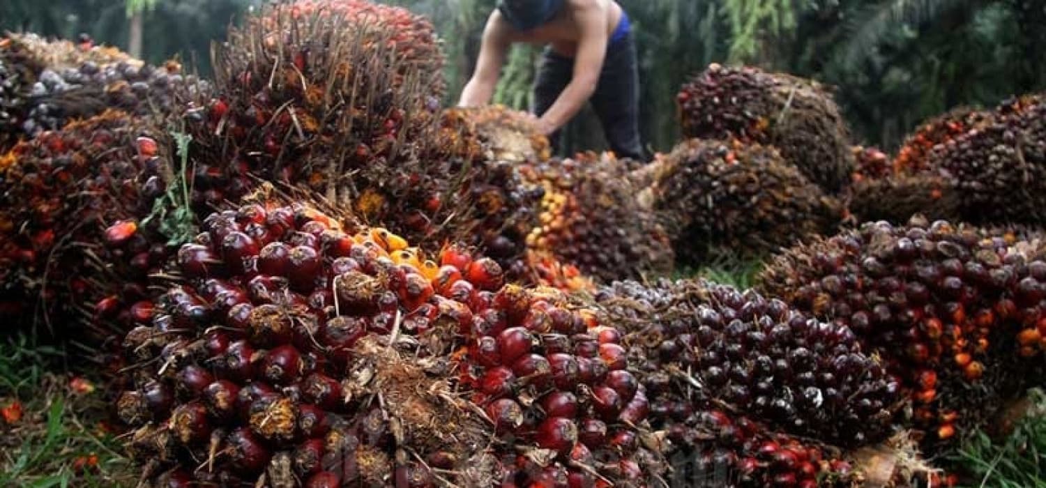 Industri Pengolahan Melesat, Ekspor RI ke China Tembus USD52,4 M