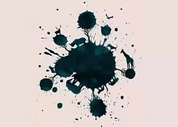 Tes Kepribadian Ilusi Optik: Hewan Pertama yang Anda Lihat Bisa Mengungkap Karakter Tersembunyi Anda