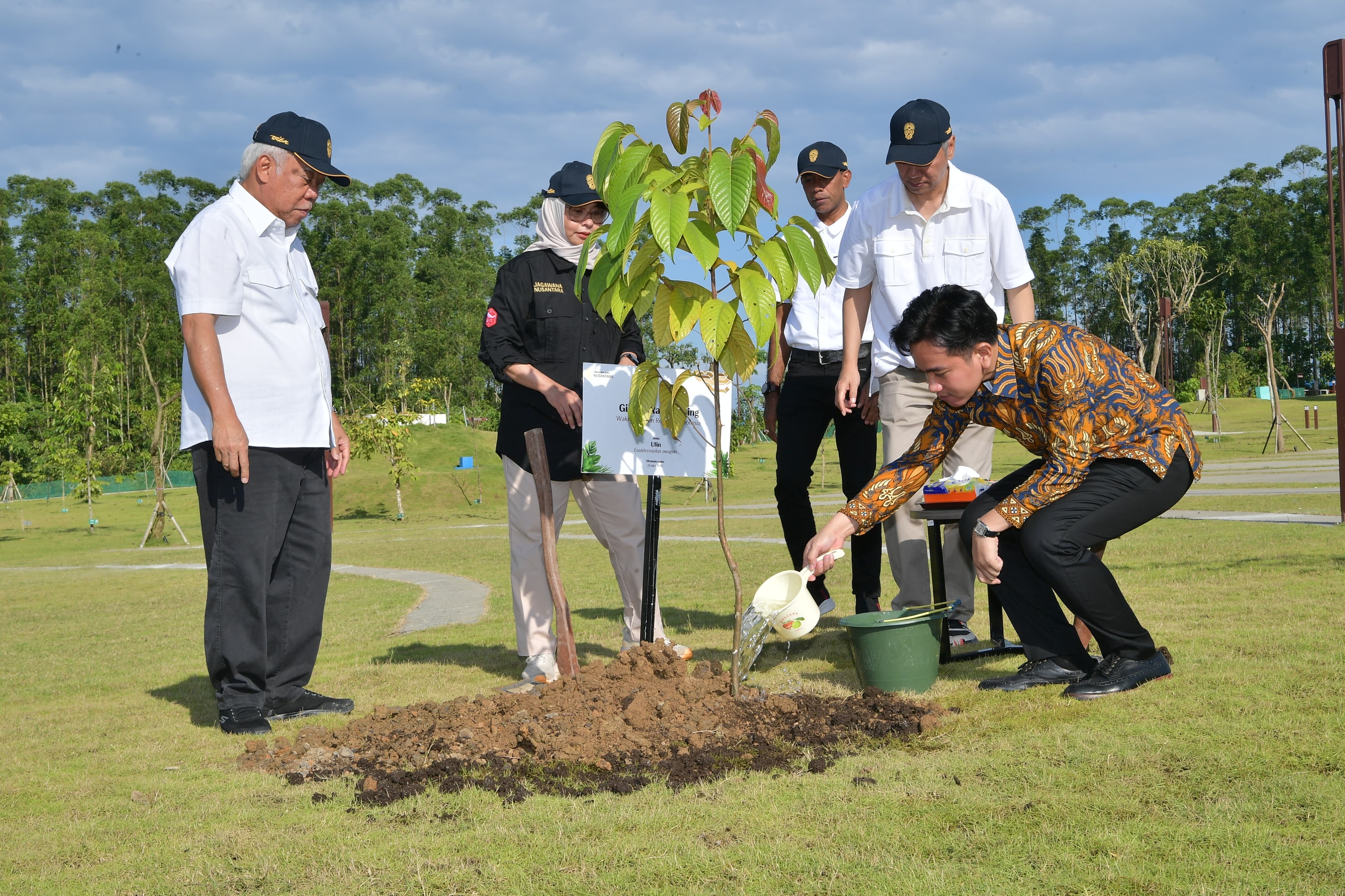 Gibran Tanam Pohon Ulin Dukung Pembangunan IKN Kota Modern dan Berkelanjutan