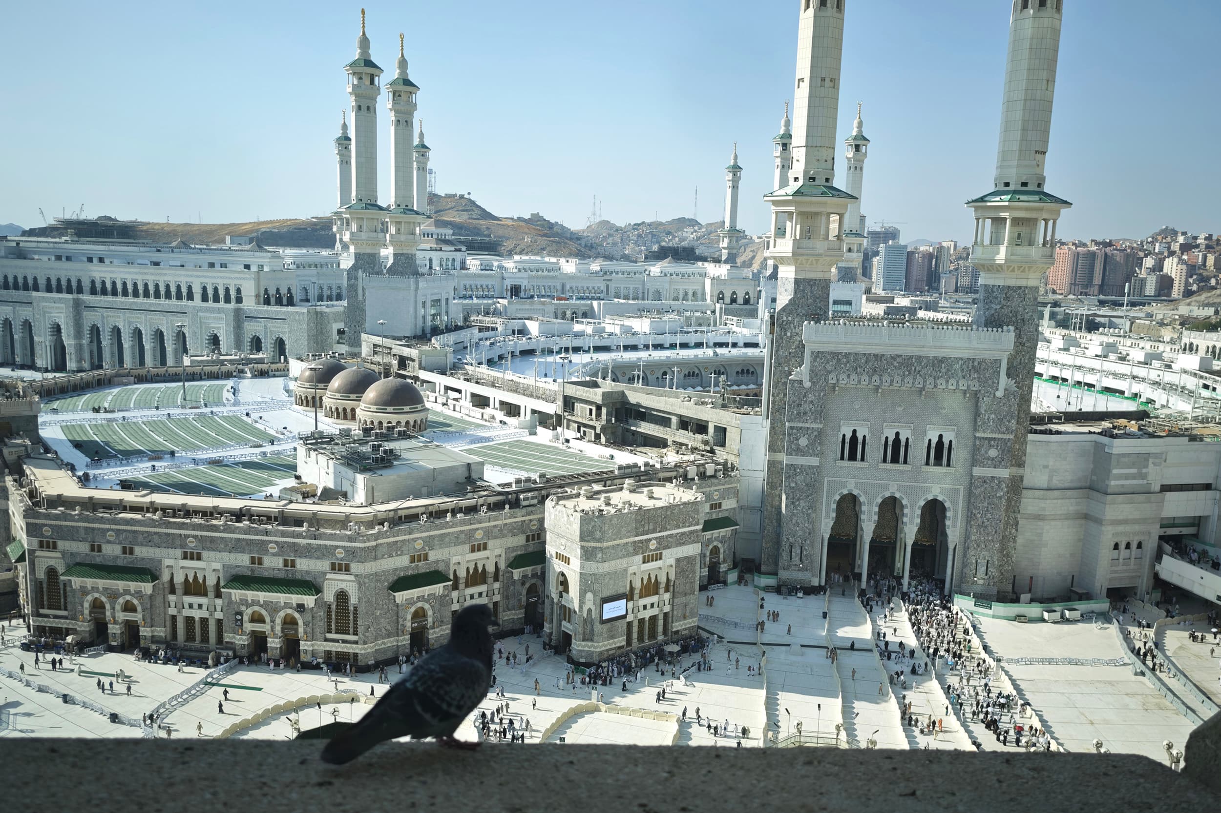 Dua Syarikah Layani 221 Ribu Jemaah Haji 2026, DPR Minta Layanan Optimal