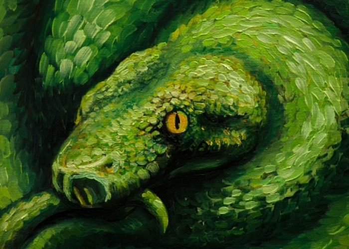 7 Arti Mimpi Digigit Ular Menurut Psikologis, Pertanda Apa Ya?