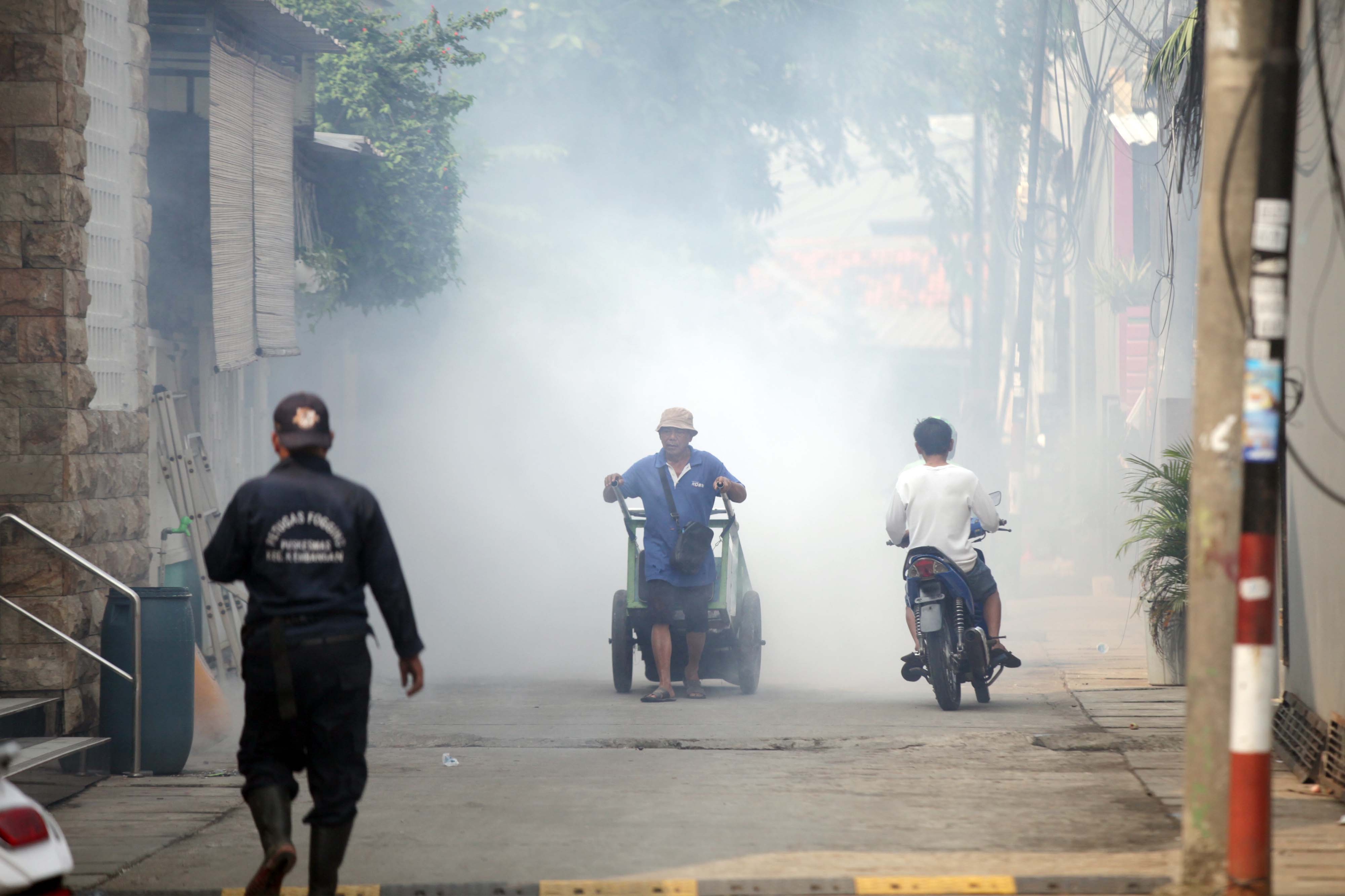 Waktu Tepat Fogging Nyamuk agar Efektif Cegah DBD, Jangan Sampai Salah Jam