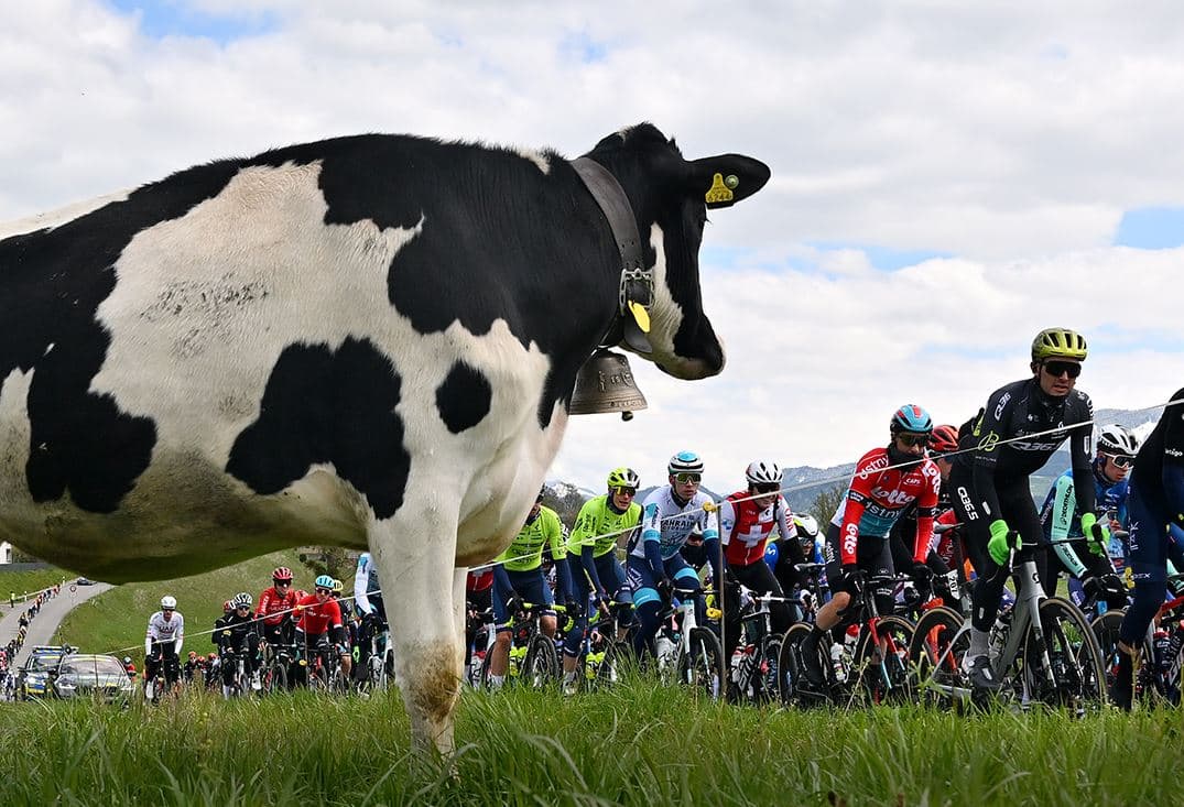 Tour De France: Wabah Kulit Sapi Pangkas Etape ke-19 Jadi 90 Kilometer, Batalkan 2 Tanjakan
