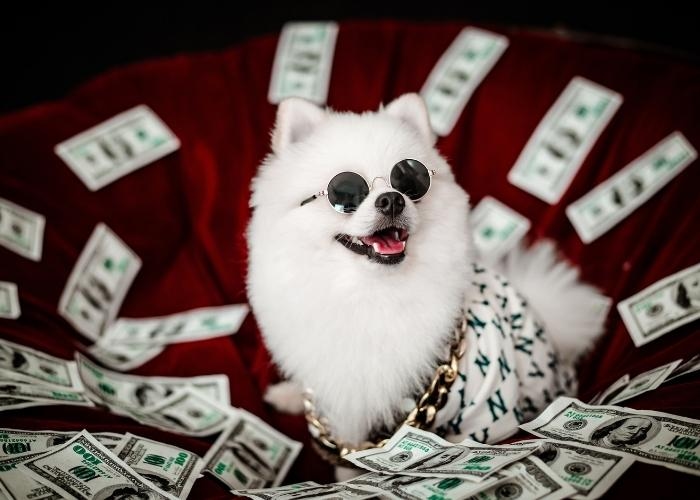 Ramalan Keuangan Zodiak Terbaru 21 September 2025: Sagitarius, Leo, Aries, dan Aquarius