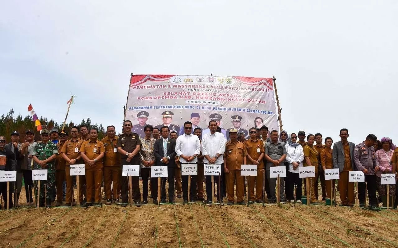 PalmCo Dukung Ketahanan Pangan Humbahas Lewat Program Padi Gogo