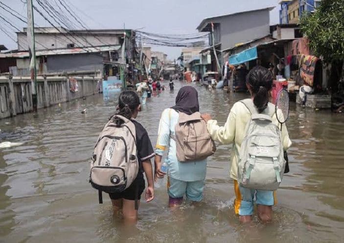 Mengapa Penebangan Hutan Bisa Menyebabkan Banjir? Ini Penjelasannya