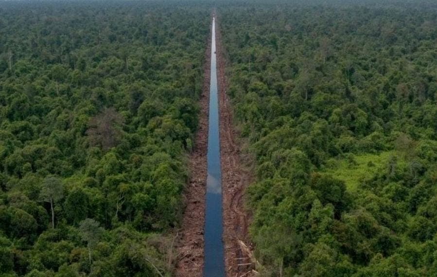 Kata PKTHA Soal Munculnya Komunitas Masyarakat Adat Terkait Kompensasi Pertambangan di Sumbawa