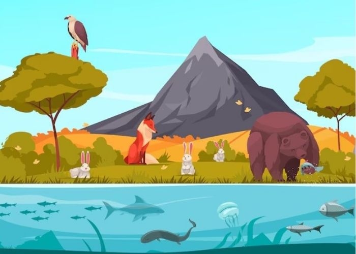 Apa Saja Komponen Abiotik yang Ada di Lingkungan Sekitar Sekolah Kalian? Ini Penjelasannya!