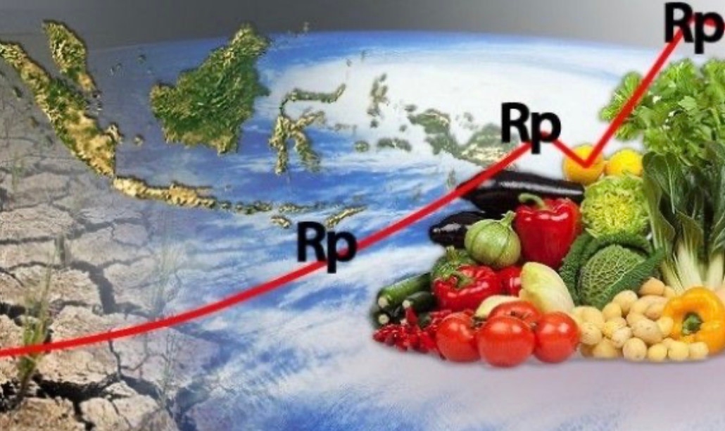 Cabai dan Ayam Jadi Penyumbang Utama Inflasi, Pemda Harus Kendalikan Harga Pangan!