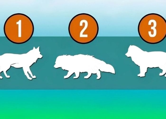 Tes Psikologi: Pilih Serigala Terkuat dan Temukan Aspek Kunci Karakter Anda