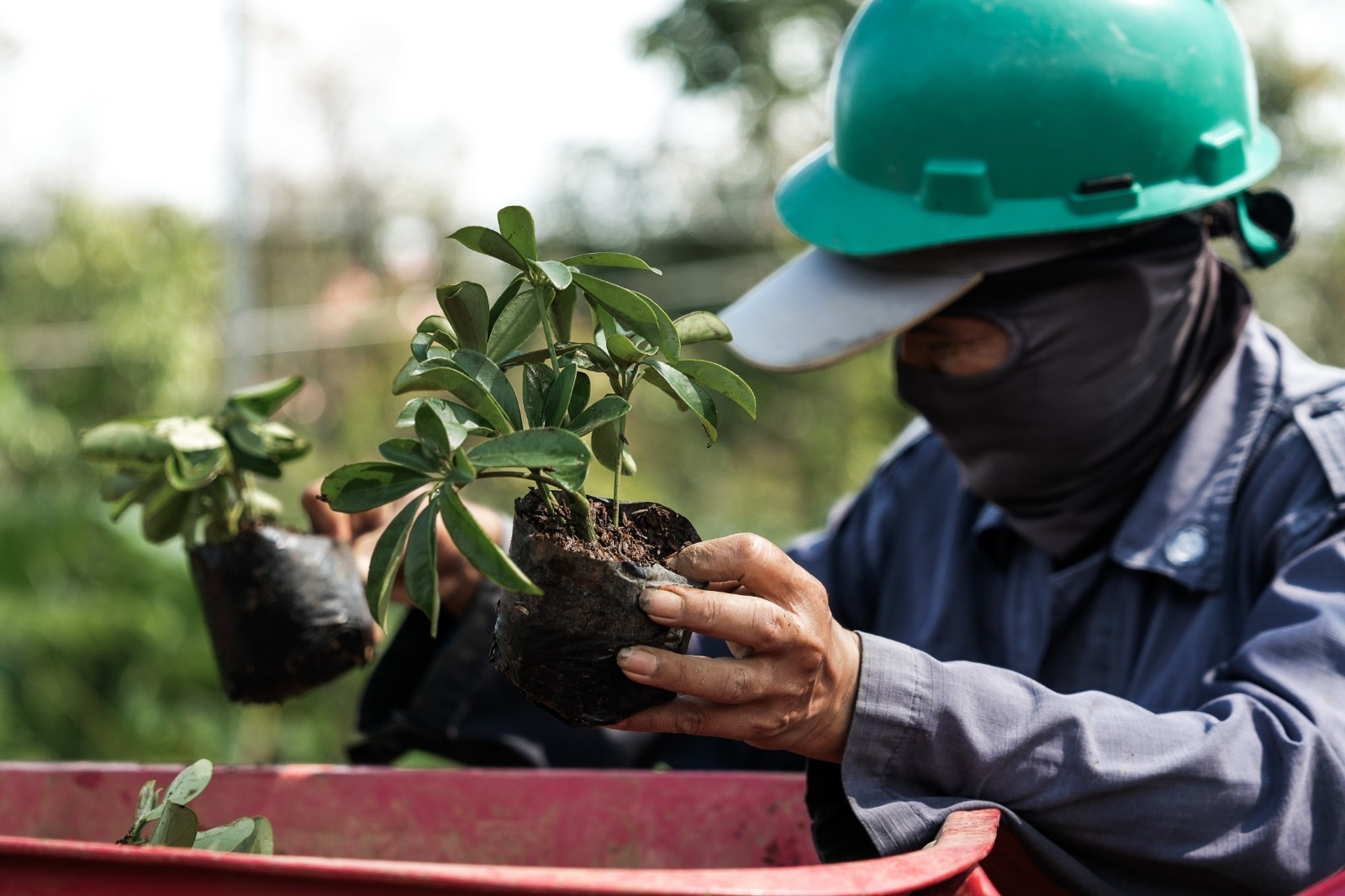 EIGER Adventure Land Tanam 100.000 Pohon dan Hidupkan Ribuan Warga Lokal
