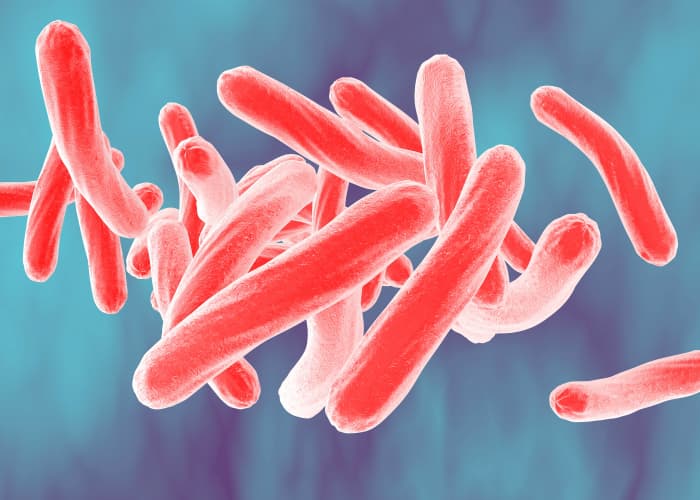 Bagaimana TBC Masuk dan Merusak Paru-paru? Begini Mekanismenya