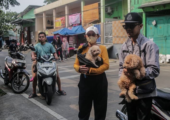 Tips Memilih Sampo Terbaik untuk Anjing, Bikin Bulu Sehat dan Mengkilap