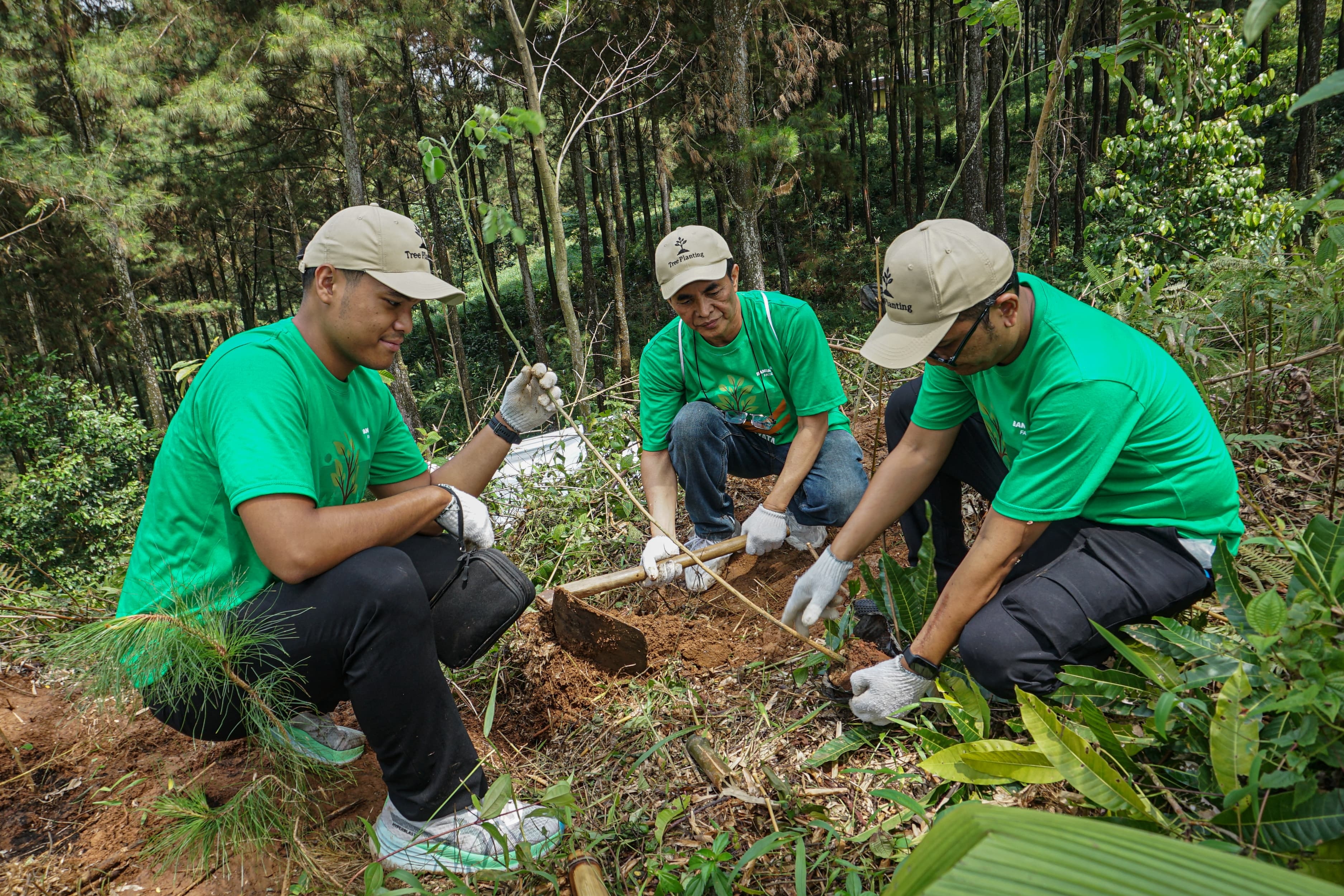 Nestle Indonesia Tanam 1.000 Pohon di Batang, Perkuat Resapan Air dan Mitigasi Iklim