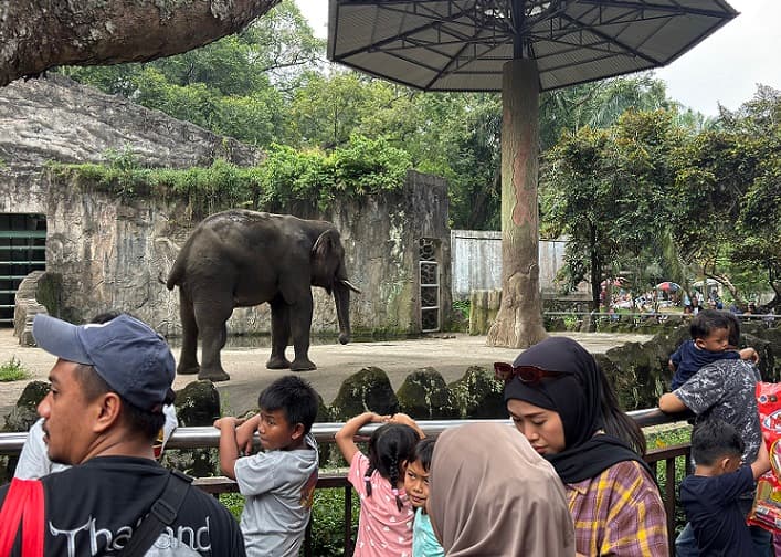 Mengenal Hewan Pertama yang Hidup di Darat dalam Sejarah Bumi