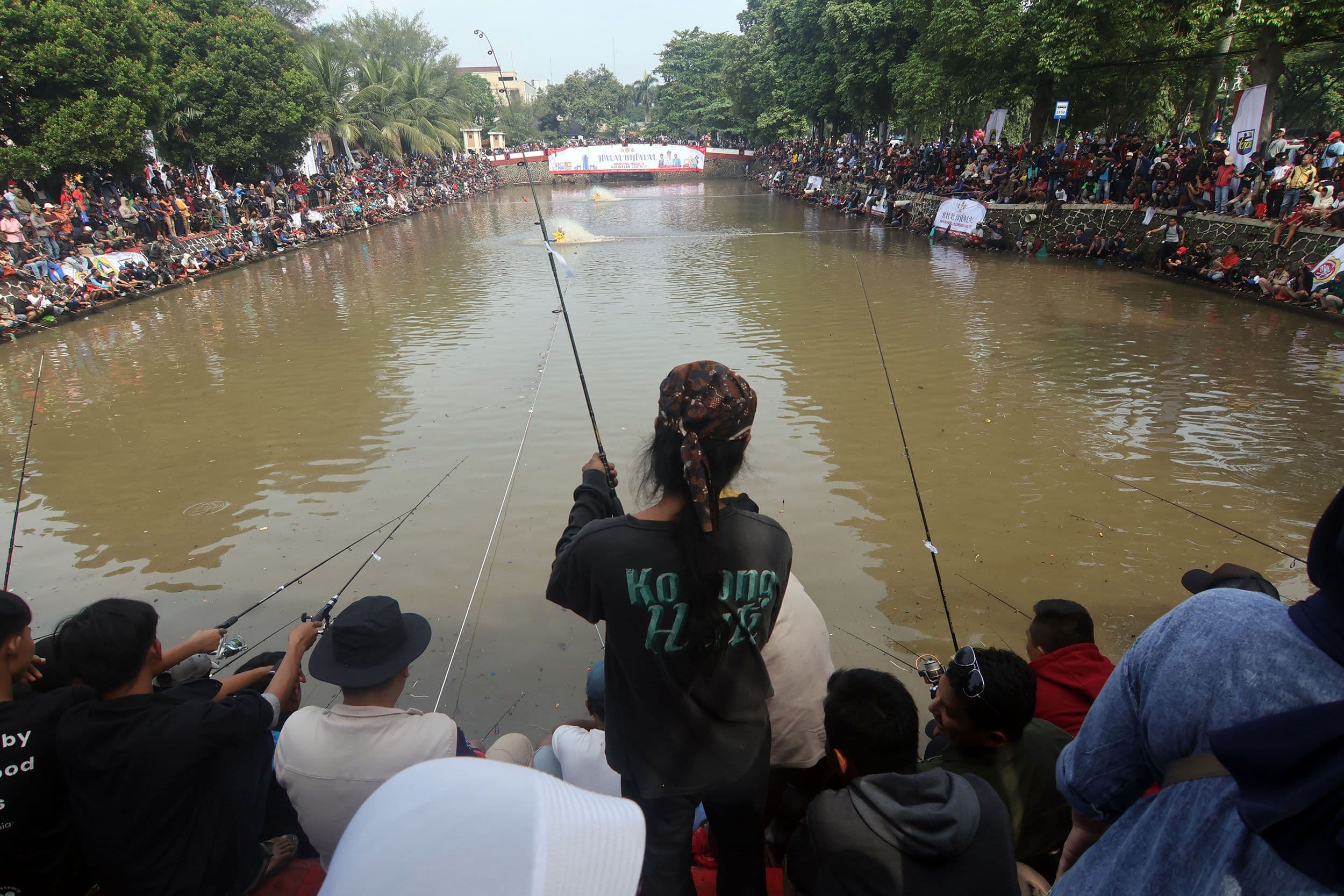 Cara Membuat Racikan Umpan Ikan Mas