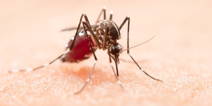 Pemerintah Percepat Target Indonesia Bebas Malaria Pada 2030